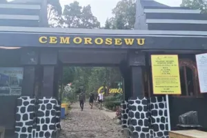 Antisipasi Lonjakan Pendaki, BPBD Magetan Siapkan Relawan di Jalur Gunung Lawu