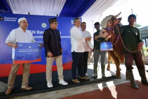 BTN Salurkan 1.605 Hewan Kurban ke Berbagai Wilayah di Indonesia