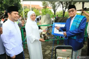 Gubernur Jawa Timur Serahkan Sapi Kurban Presiden ke Masjid Al Akbar