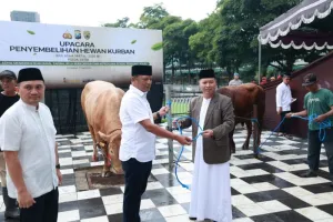 Kepolisian Daerah Jawa Timur Salurkan 149 Ekor Hewan Kurban kepada Masyarakat