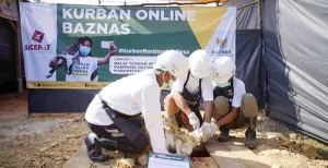 Kurban "Last Minute"? Ini Deretan Layanan Kurban "Online" Tepercaya
