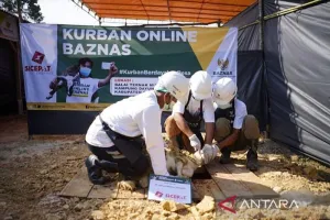 Last Minute Berkurban? Cek Pilihan Layanan Online yang Aman dan Praktis