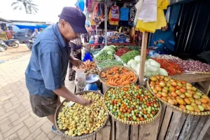 Pemprov Lampung Tingkatkan Pengawasan Harga Pangan Jaga Inflasi Daerah