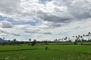 Perkuat Ketahanan Pangan, Lampung Usulkan 101 Proyek Irigasi Utama
