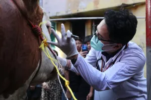 Salurkan Kurban di Jaksel, Rano Karno Apresiasi Gang Juara Siskamling