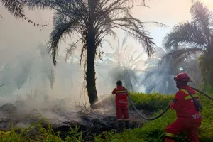 Balai Pengendalian Kebakaran Hutan Manggala Agni Berjibaku Padamkan Karhutla 20 Hektare di Siak Riau