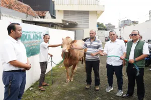 Beri Manfaat Nyata bagi Masyarakat, PDC Distribusikan Hewan Kurban ke Seluruh Wilayah Operasional