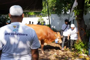 BNI Salurkan 1.200 Hewan Kurban ke Berbagai Daerah