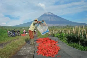 Hingga April 2026, BRI Genjot KUR Rp65,95 Triliun untuk UMKM