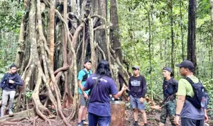 Kalsel Perkuat Kapasitas Pemandu Pendakian Penuhi Standar Konservasi