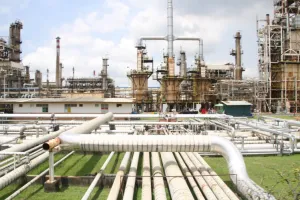 Pemerintah Bakal Jadikan Gas Bumi sebagai Energi Transisi  