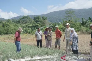 Bangka Tengah Perkuat Pengembangan Sentra Bawang Merah dan Cabai