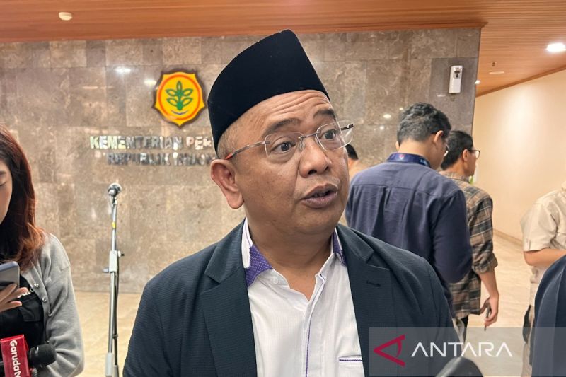 Harga Sawit Anjlok, Asosiasi Petani Sawit Indonesia Minta Harga Segera Dipulihkan