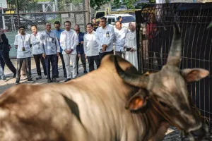 Pertamina Patra Niaga Bagikan 2.031 Hewan Kurban Idul Adha