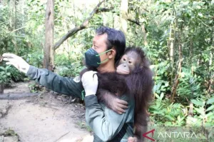 Menyelamatkan Satwa Endemik dari Ekspansi Industri