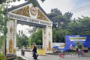 Kabar Baik! ULM Buka Jalur Khusus bagi Disabilitas dan Hafiz Al Quran Tahun 2026.