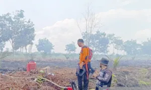 BPBD Aceh Barat Kerahkan Personel Padamkan Kebakaran Lahan Dua Hektare di Kecamatan Bubon