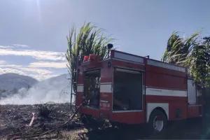 Kondisi Cuaca yang Panas Berpotensi Memperluas Karhutla di Aceh