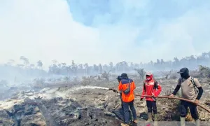 Tembus 17 Hektare! Lahan Gambut Nagan Raya Hangus Terbakar Gara-Gara Dua Kendala Ekstrem Ini