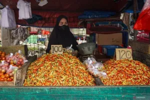 Alarm Harga Pangan Menyala! Inflasi Mei Naik Tajam Dipicu Lonjakan Cabai dan Bawang Merah