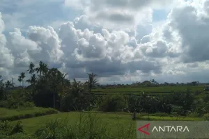 BMKG Prakirakan Cuaca Berawan hingga Hujan Petir Dominasi Kota Besar di Indonesia pada Selasa