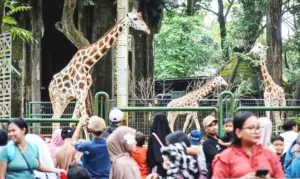 Destinasi Jakarta Tak Lagi Favorit bagi Pelancong