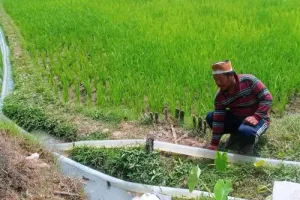 Pemerintah Kabupaten Lebak Imbau Petani Maksimalkan Pompa Bantuan Kementan