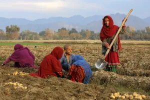 Afghanistan Kembali Bangun Diri: Pemerintah Bagikan 35.000 Lahan Gratis untuk Pengungsi