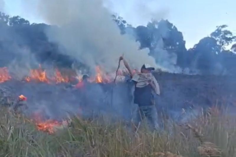 Api yang Melanda Savana Propok Rinjani Berhasil Dipadamka...