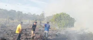 BNPB: Karhutla Masih Landa Lahan di Aceh Singkil dan Aceh Timur, Cuaca Kering Picu Sebaran Api