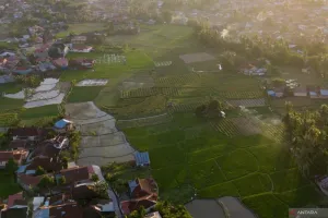 Pemkot Padang Tegaskan Pentingnya Keseimbangan Lahan Pertanian dan Kebutuhan Investasi