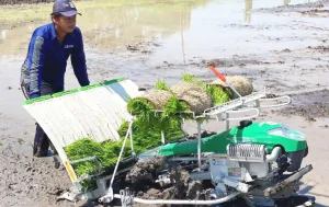 Petani Diminta Lakukan  Percepatan Tanam, Antisipasi Punca...