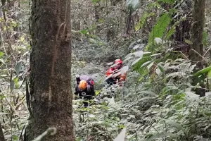 SAR Evakuasi Pendaki Terperosok ke Jurang di Gunung Semeru