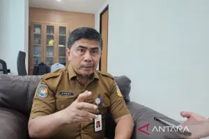 Sektor Pertanian Jadi Penopang Ekonomi Papua, Produksi Padi Capai 545,96 Ton di Awal 2026.