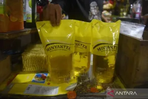 Harga Eceran Tertinggi Minyakita Bakal Naik Dua Minggu Lagi, Ini Penjelasan Mendag