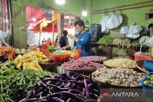 Harga Komoditas Pangan di Bengkulu usai Idul Adha Turun ke Harga Normal