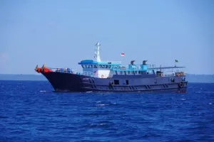 KKP Tangkap Kapal Asing Bawa 1,2 Ton Ikan Napoleon Ilegal Tujuan Hong Kong