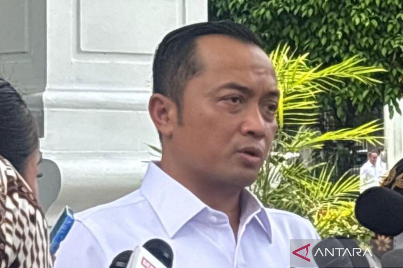 Tanggapan Istana Usai Wamen Imipas Silmy Karim Ditahan KPK
