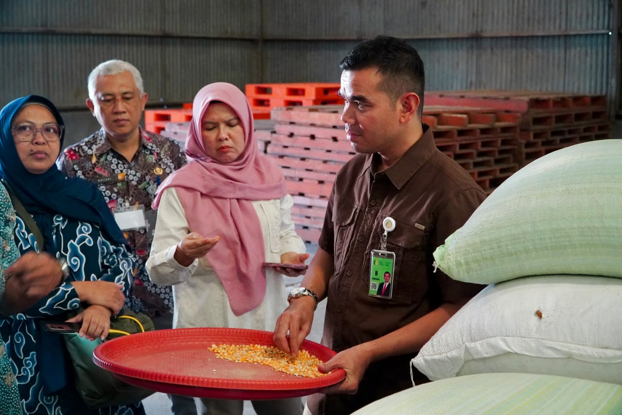 Ringankan Beban Peternak Layer, Bapanas Pastikan Stok SPHP Jagung di Jatim Aman