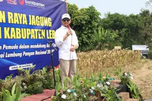 Wagub Banten Ajak KNPI Perkuat Peran Pemuda Dukung Ketahanan Pangan