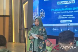 Pemkot Cimahi Perkuat Ekosistem Ekonomi Kreatif Berbasis Pengembangan SDM
