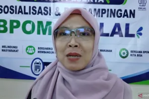 BPJPH: 13 Juta UMKM di Indonesia Terima Sertifikasi Halal