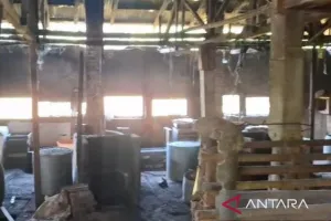 Di Tengah Gejolak Pasar, Kopti Cianjur Sebut Lonjakan Harga Kedelai Kini Lebih Terkendali