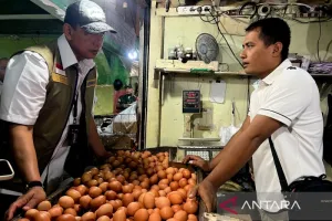 Harga Telur Ayam Ras Rp30.400/Kg, Bawang Merah Rp54.350/Kg