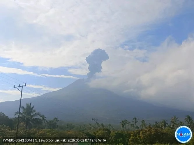 Pascahujan Abu Gunung Lewotobi, PVMBG Imbau Warga Gunakan...