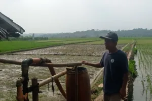 Saat Sawah Terancam Kering, Petani Lebak Andalkan Pompa Pantek Sistem Satelit