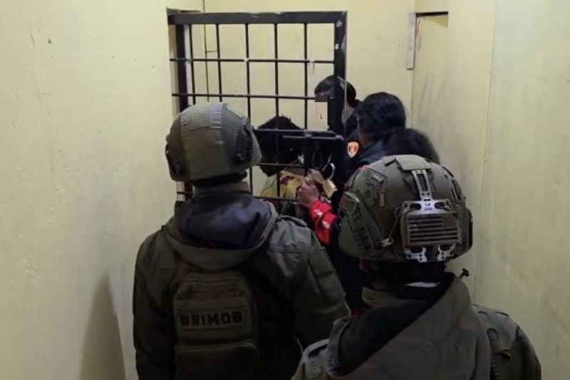 Satgas Cartenz Tangkap Anggota KKB Kodap Ilaga yang Tewas...