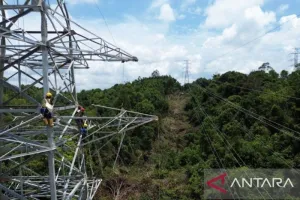 Listrik Masuk Desa, Kutim dan PLN Pacu Pemerataan Hingga Pelosok
