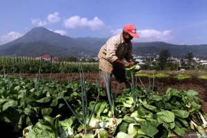 Petani Tak Lagi Bergantung pada Tengkulak, Ini Strategi Pemkot Batu
