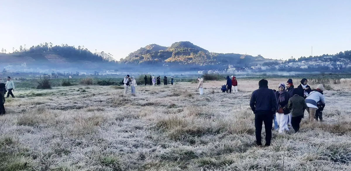 Embun Upas Kembali Selimuti Kompleks Candi Arjuna Dieng, ...